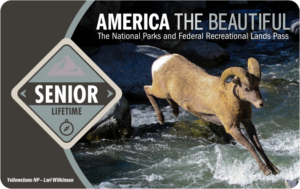 The Senior Lifetime Pass card — the lifetime version of the senior federal recreation pass.